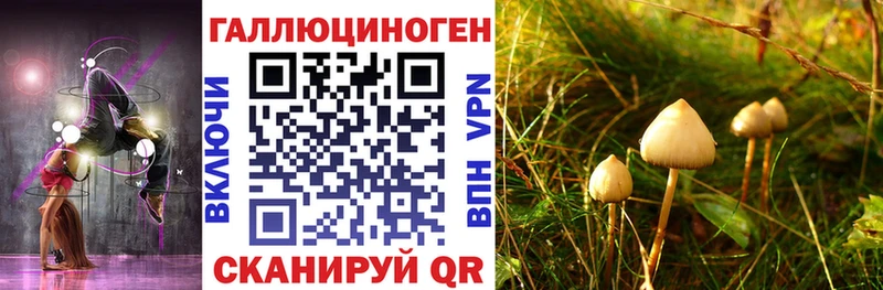 Галлюциногенные грибы Psilocybe  Костерёво 
